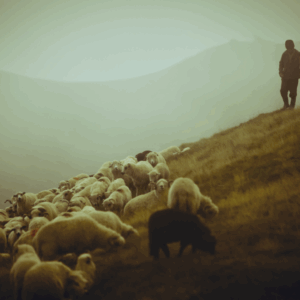 GUIDING THE FLOCK